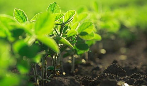 Fourteen start-ups selected for 2019 SEED Awards