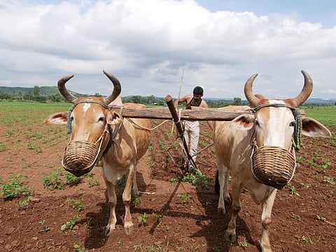 सरकार क्यों सीमित करना चाहती है किसानों के अधिकार?