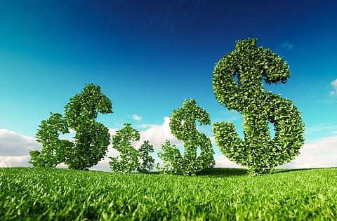 The Green Climate Fund must be a champion for real sustainability