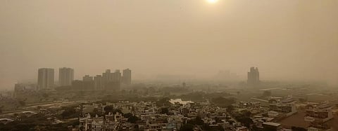What the toxic air did to Delhites