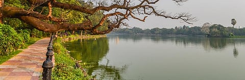 What did the Chhath violation of NGT at Kolkata's Rabindra Sarobar expose