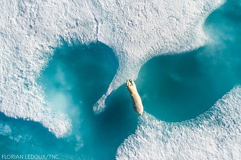 Scientists looked at sea levels 125,000 years in the past. The results are terrifying