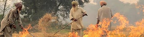 Stubble fires in Punjab. Photo: Wikimedia Commons