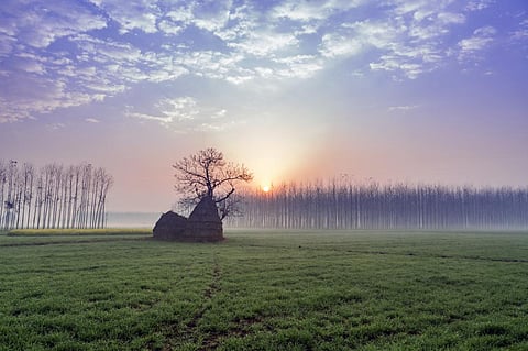 Promoting agri practices in Punjab for water efficiency, better residue management