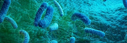 World Antibiotic Awareness Week: Looking at the microbe’s rebellion