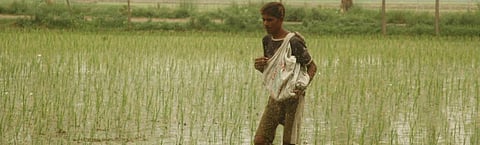 Photo: Agnimirh Basu