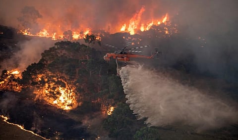 How to monitor the bushfires raging across Australia