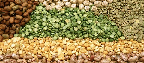 Pulses production in 2019-20 will reduce due to erratic monsoon: IPGA