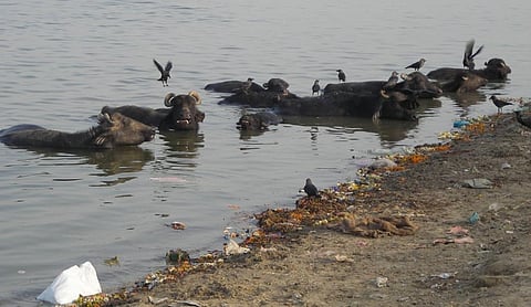 Union Budget 2020-21: Half-hearted effort to revive rivers, including Ganga