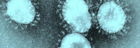 Coronavirus update: Centre withdraws rapid testing kits