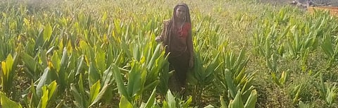 A farmer in her turmeric field in Dugarpur district, South Rajasthan
