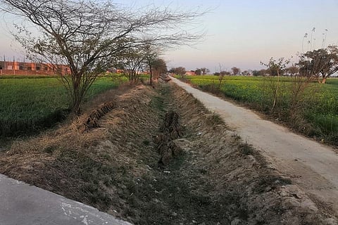 मेवात में सूखी पड़ी नहर। फोटो: शाहनवाज आलम