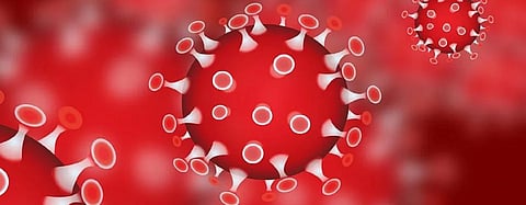 Understanding zoonotic diseases: Is COVID-19 Disease X that WHO warned of in 2018?
