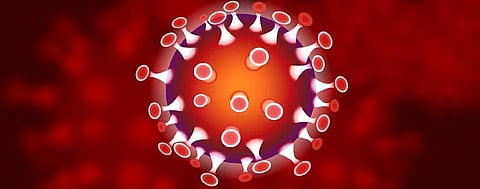 Coronavirus: Older cousin MERS killed as recent as December