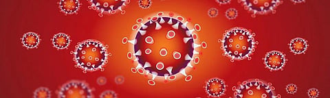 COVID-19 relapse: Three theories can explain worrying trend