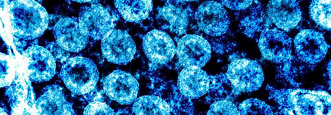 Coronavirus update: India becomes first country to suspend visas of all foreign nationals