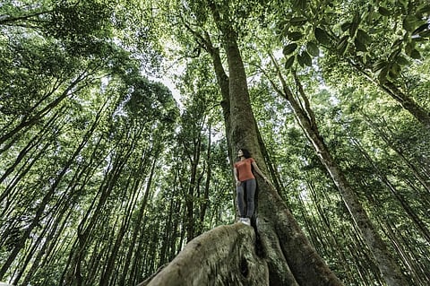 There’s hope, if we wake up to today’s evolutionary potential