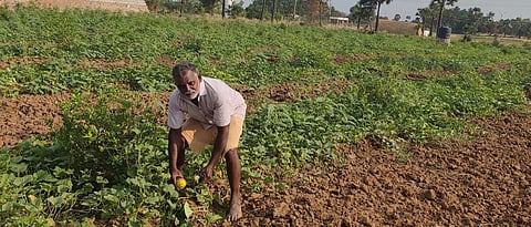 Water-stressed in India: JSA helped Tirunelveli farmers look at options
