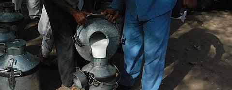 COVID-19: Milk supply under threat amid demand spike