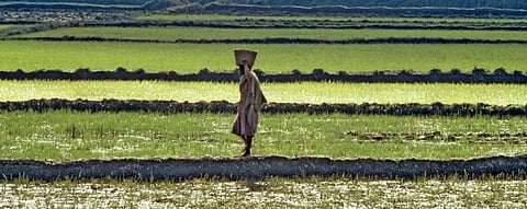 COVID-19: African economy could take up to 3 years to revive