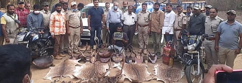Five hunters were arrested for poaching spotted deer Photo: Nibedita Sen
