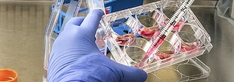 COVID-19: India gets first tranche of 5 lakh antibody rapid test kits