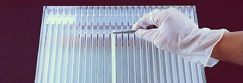 COVID-19: ‘Wait for field results to call rapid test kits faulty’