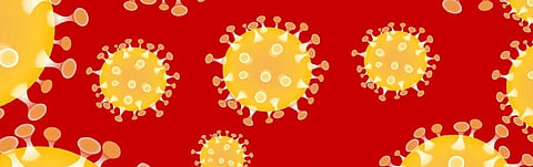 Understanding zoonotic diseases: ‘Global human interaction has eased transmission’
