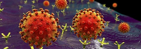 All about ACE-2 — the molecule that helps novel coronavirus invade cells