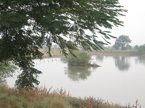 Why NGT’s calls on restoration of water bodies is need of the hour