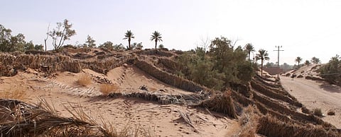 Land use change creates the ground for zoonotic diseases like COVID-19 as the interaction and physical distance between animals and humans gets closer. Photo: Flickr