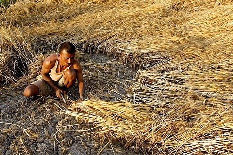 फाेटो: विकास चौधरी