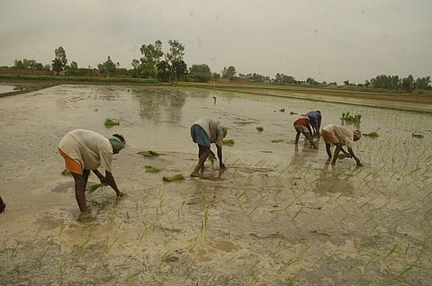 File Photo: Agnimirh Basu