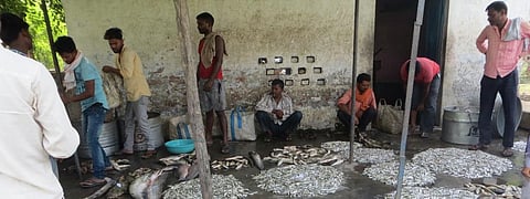 River pollution, conservation: UP’s fishing community bears brunt