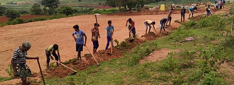Migrants work under the MGNREGS programme in Odisha’s Koraput district. Photo: Priya Ranjan Sahu