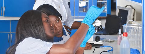 By setting out the continent’s research priorities, scientists can focus better on what needs to be done. Maliutina Anna/Shutterstock