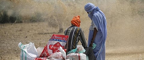 Need food system overhaul to combat global hunger: Report