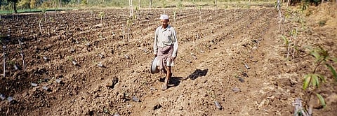 COVID-19: Augmenting farmer access to long-term credit