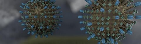 Researchers have developed a human cell 'membrane on a chip' that allows monitoring of how drugs interact with human cells, and may soon be used to test potential drug candidates for COVID-19. Photo: Susan Daniel / Cornell University
