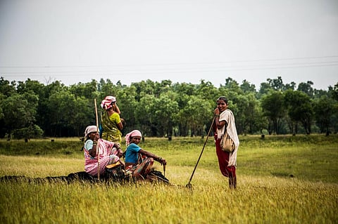 Photo: Pavan Maruvada/Pexels