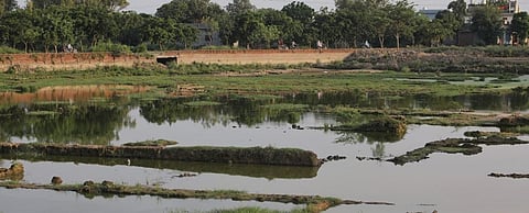 COVID-19: Even skilled workers line up for MGNREGA in Kurukshetra