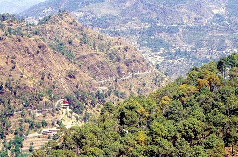 ‘Protect & conserve model’ displaced 13,450 families from 26 protected areas in 2 decades