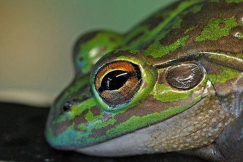 Photo: flickr