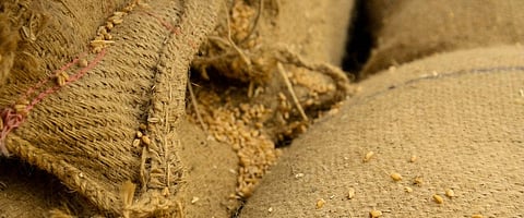 FAO claims new platform to help fight food loss, wastage