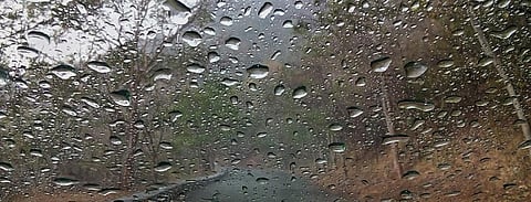 Mid-monsoon update: Officially normal, but 185 districts are deficit in rainfall