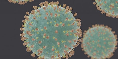 Does coronavirus linger in the body? What we know about how viruses in general hang on in the brain and testicles