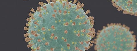 Coronavirus Update: India records highest single-day testing