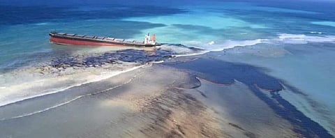 Global Eco Watch: Mauritius declares environmental emergency