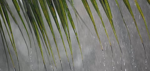 Expect a wet September, late monsoon withdrawal due to La Niña