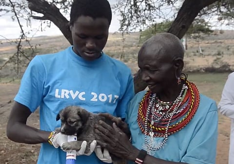 Lessons from a community-driven rabies vaccination campaign in Kenya